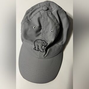 Imperial Sports Men’s Gray Cap 2022 Polar Bear Embroidered Adjustable Strap